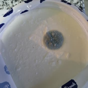 İftar Soframda Küflü Yoğurt: A101 Şubesinde Birşah Ürünüyle Yaşanan Mağduriyet