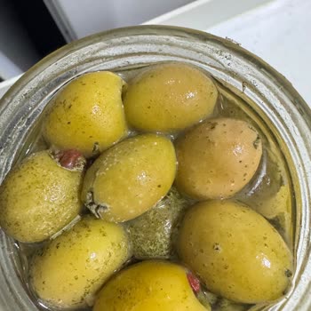 Lio Yeşil Zeytinlerde Hızlı Bozulma Ve Kalite Kontrol Sorunu