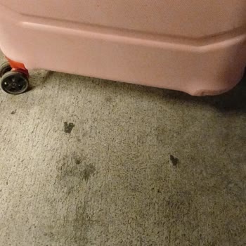 Kırık Valiz Tekerlekleri Ve Yetersiz Tazminat