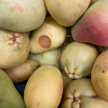 Sancaktepe Şok Marketinde Çürük Ürünler Ve Dolaşan Kedi