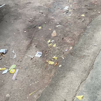 Sancaktepe Şok Marketinde Çürük Ürünler Ve Dolaşan Kedi