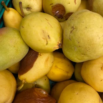 Sancaktepe Şok Marketinde Çürük Ürünler Ve Dolaşan Kedi