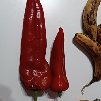 Meyve Sebzelerde Sürekli Bozuk Ürün Gönderimi, Mağduriyet Ve Kalite Kontrol İyileştirme Talebi