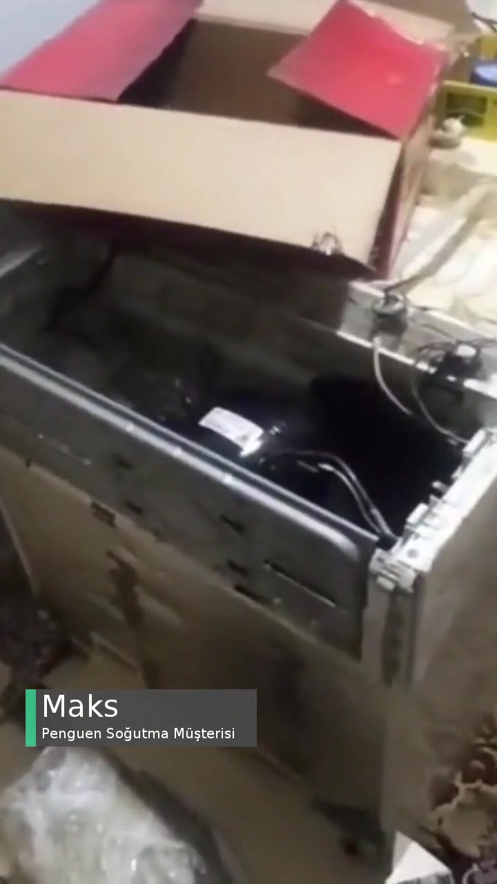 Yasaların Dediği Ve Penguen Soğutmanın Yasaları videonun kapak resmi
