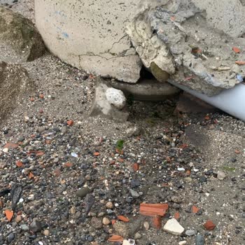 Kanalizasyondaki Büyük Çatlak Ve Su Kaçağı İçin Acil Onarım Talebi