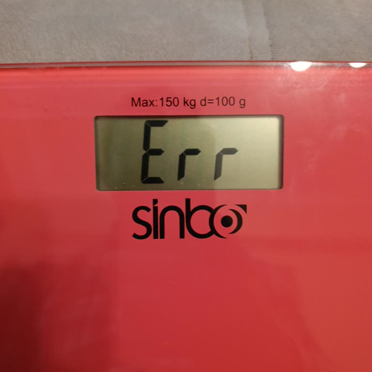 Sinbo SBS4418 Pil Değişiminden Sonra Çalışmıyor 8888 Ve Error