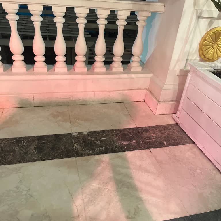 Titanic Marden Palace Otelinde Kediler İçin Su Ve Mama Kapı Eksikliği