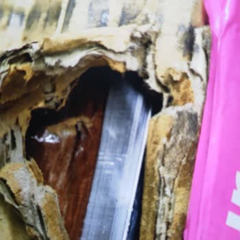 Hasarlı Kamp Masası Ve Uzayan İade Sürecinde Çözüm Talebi