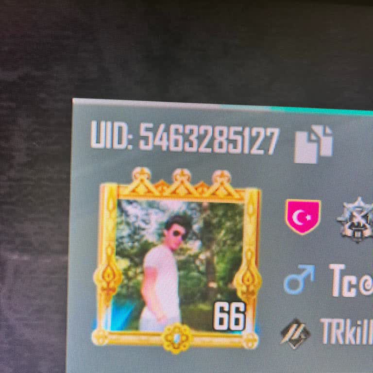 Çalınan PUBG Mobile Hesabım İçin Destek Yok