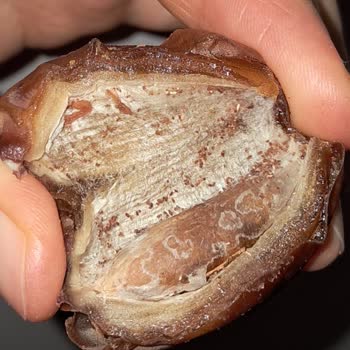 Şok Market'te Hurmanın İçinde Kurt Ve Uçan Böcekler: Sağlık Riski