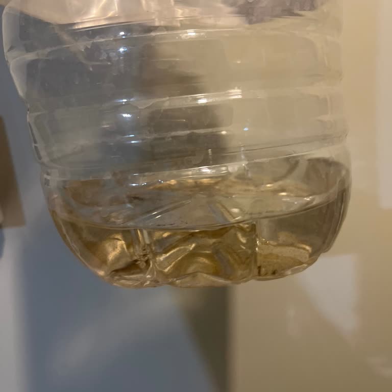 Kırıkkale Belediyesi'nden Çamurlu Su, Uzun Kesintiler Ve Çağrı Hattı Sorunlarına Çözüm Bekliyoruz