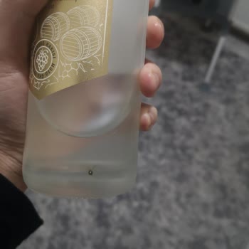 Rakısındaki Böcek, Gıda Güvenliği İhlali Ve Yetersiz Telafi