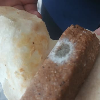 A101 Açılmayan Link Ve Cevapsız Şikayet Bozulmuş Çiğ Köfte Ürünleri İnsan Sağlığını Tehdit Ediyor