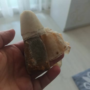 A101 Açılmayan Link Ve Cevapsız Şikayet Bozulmuş Çiğ Köfte Ürünleri İnsan Sağlığını Tehdit Ediyor