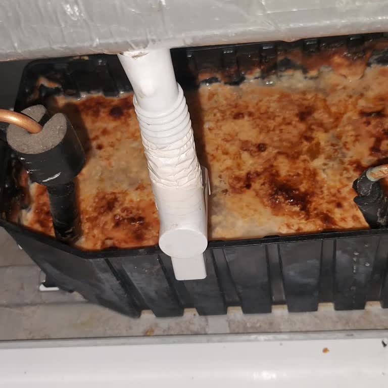 Beko Buzdolabındaki Pis Su Kabının Kötü Kokusu Ve Ücretsiz Değişim Talebi