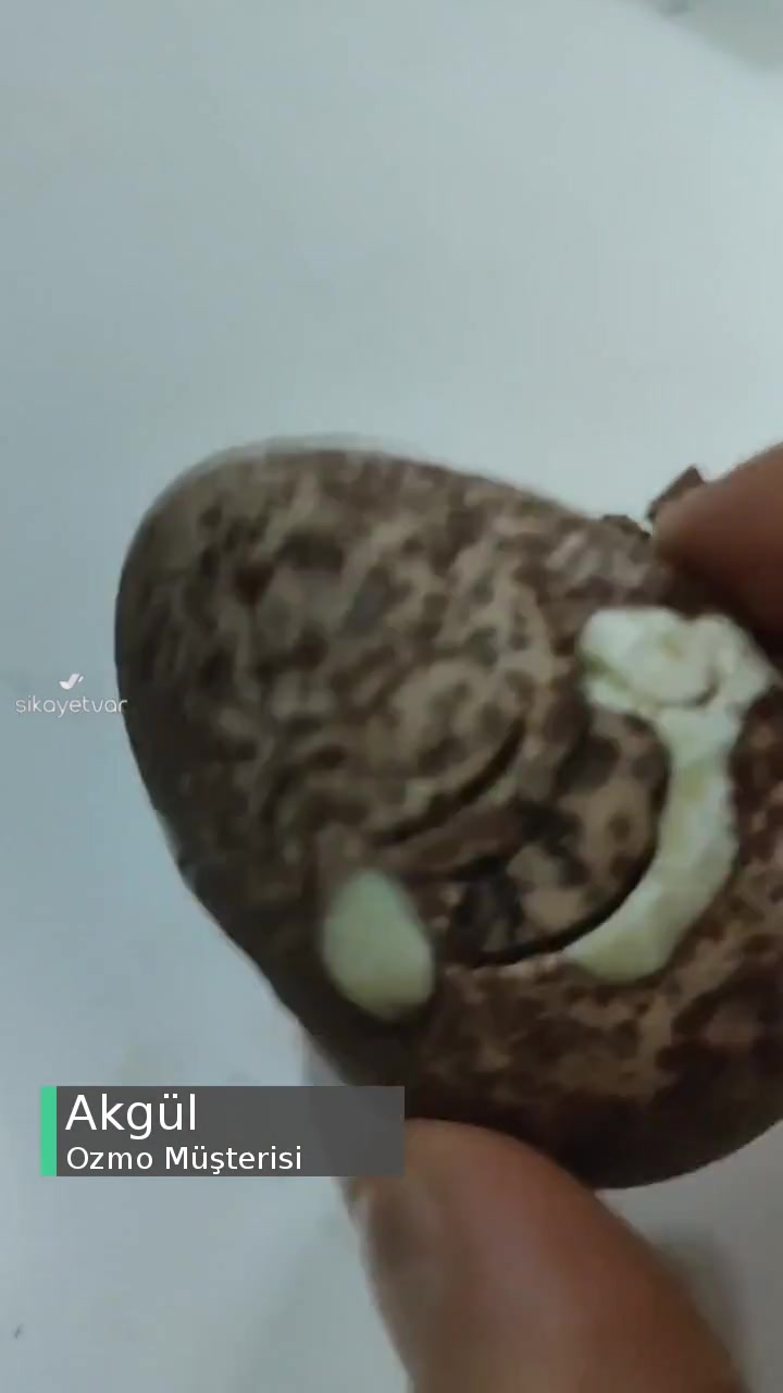 Ozmo Yumurta Küflü Gibi Dağılıyor! videonun kapak resmi