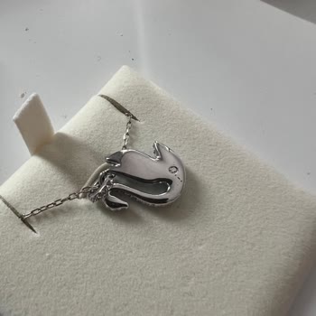 Swarovski Garanti Kapsamındaki Kolyede Taş Düşmesi, Yanıtsız Çağrı Merkezi