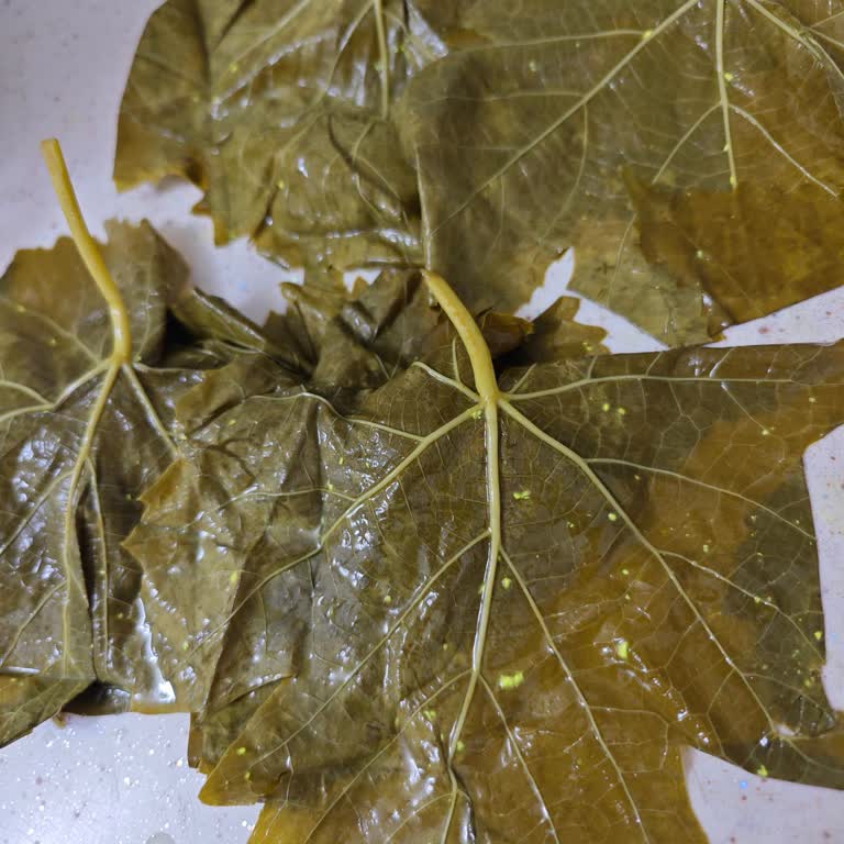 Yanıltıcı Reklam Ve Sert Yapraklar Nedeniyle Geri Ödeme Talebi