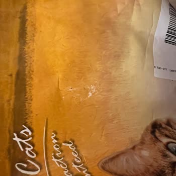 Mito Tavuklu Kedi Maması Paketi Delik Çıktı Güvenim Sarsıldı