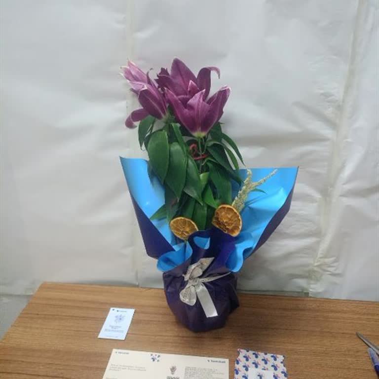 Yanıltıcı Ürün Görselleri Ve Şeffaflık Talebi