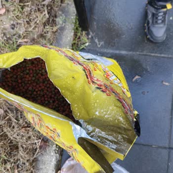 Bursa Niltim Şubesinde Kargo Teslimatı Saygısız Ve Dikkatsiz