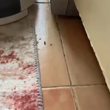 İki Defa Ayıplı Karcher Robot Süpürge, İade Ve Değişim Talebim Reddi