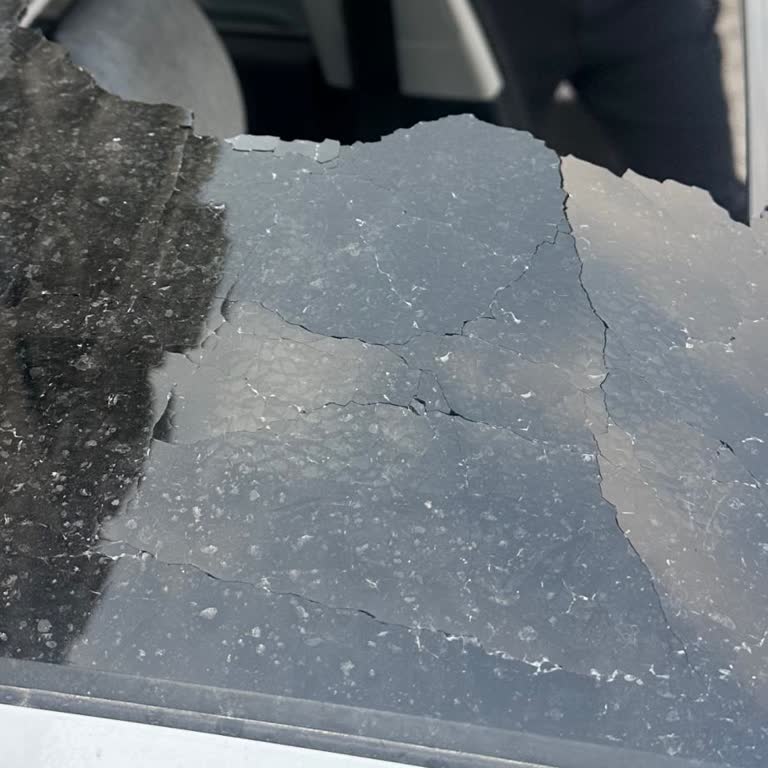 Kayyum Atanması Nedeniyle Kasko Ödemesi Sürekli Erteleniyor