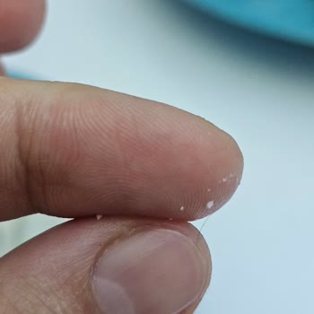 A101 Beyaz Peynirinde Kıl Bulunması: Hijyen Endişesi