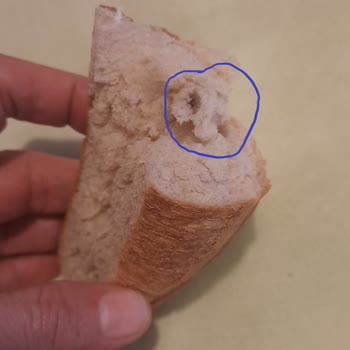 Halk Ekmek'te Hamurla Bütünleşmiş Yabancı Madde Tespiti