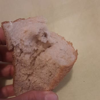 Halk Ekmek'te Hamurla Bütünleşmiş Yabancı Madde Tespiti