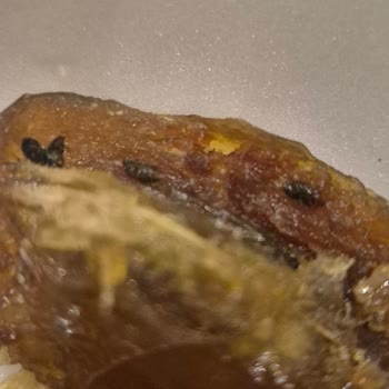 Tarım Kredi Kooperatifinde Hurma İçinde Larva Tespiti Ve Gıda Güvenliği İhlali