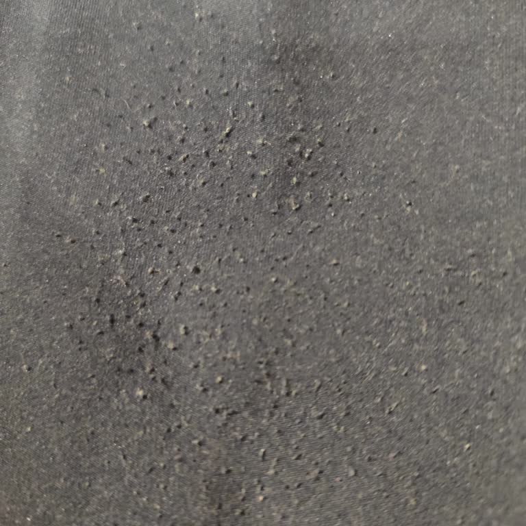 Koton Taytında Hızlı Tüylenme Sorunu Ve Ücret İadesi Talebi