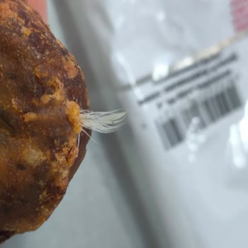 Lezita Kadınbudu Köfte İçinde Tavuk Tüyü