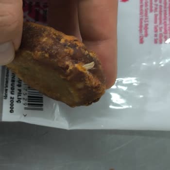 Lezita Kadınbudu Köfte İçinde Tavuk Tüyü