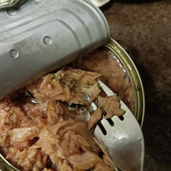 Metro Market’te Satılan Aro Konserve Ton Balığında Yabancı Madde Ve Çürüme Belirtileri