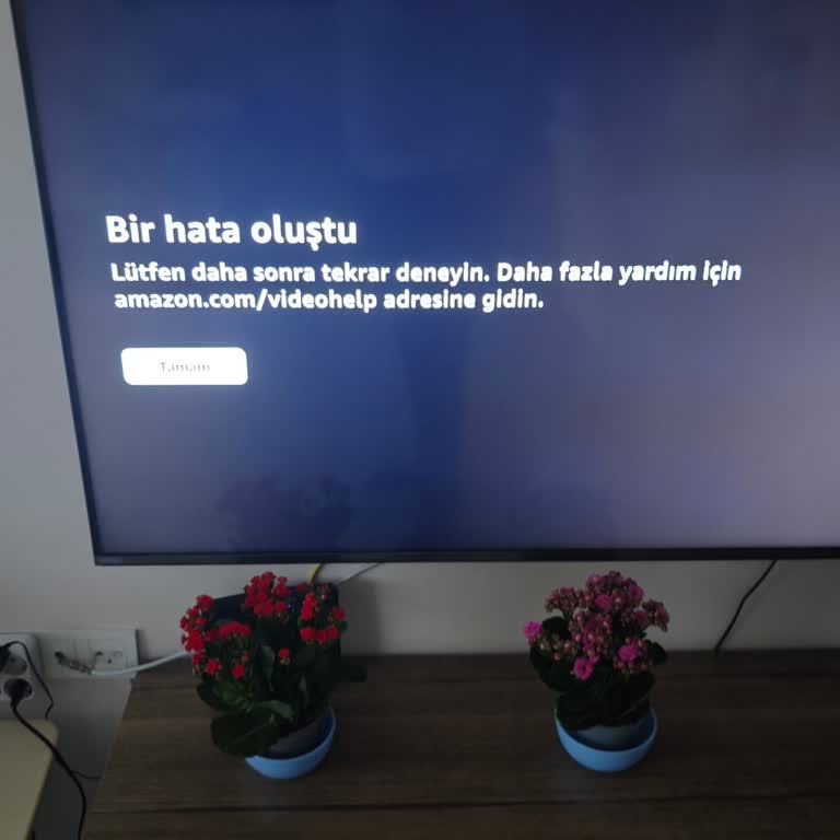 Film İzlerken Sürekli Donan İnternet Ve Telefon Bağlantısı İçin Acil Çözüm Talebi