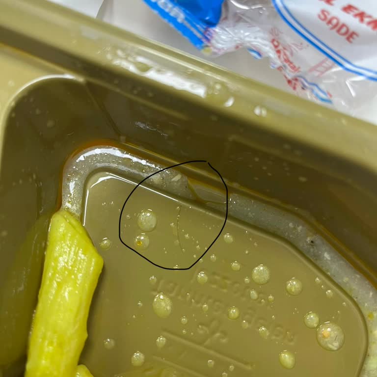 Adile Sultan Şikayeti