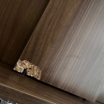 Onarım Gecikti, Ürün İadesi Ve Tam Geri Ödeme Talebi