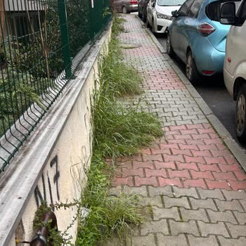 Aydınevler Mahallesinde Çöp Ve Moloz Birikimi Yaya Güvenliğini Tehdit Ediyor