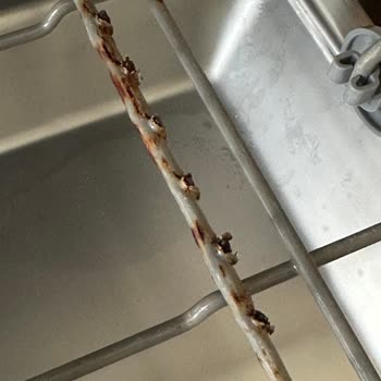 Teka Paslanıp Kırılan Bulaşık Makinesi Sepetleri Ücretsiz Değişim Talebi