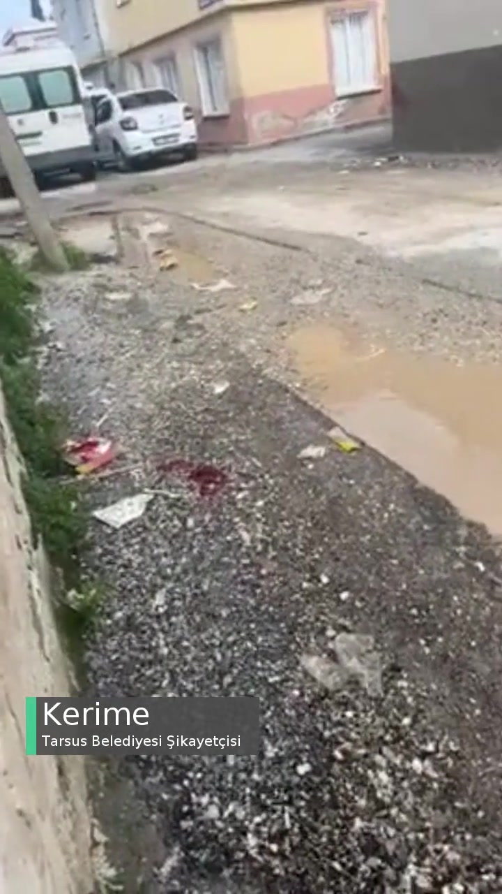 Tarsus Belediyesi Yollar Çok Kötü! videonun kapak resmi