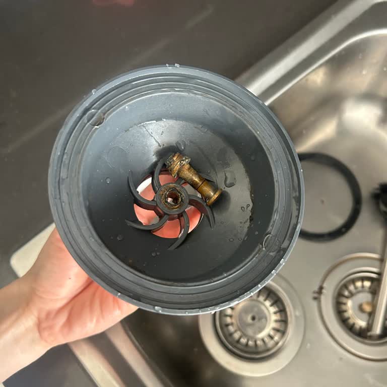 Teka Evye Süzgeç Vida Sorunu Ve Yedek Parça Talebi