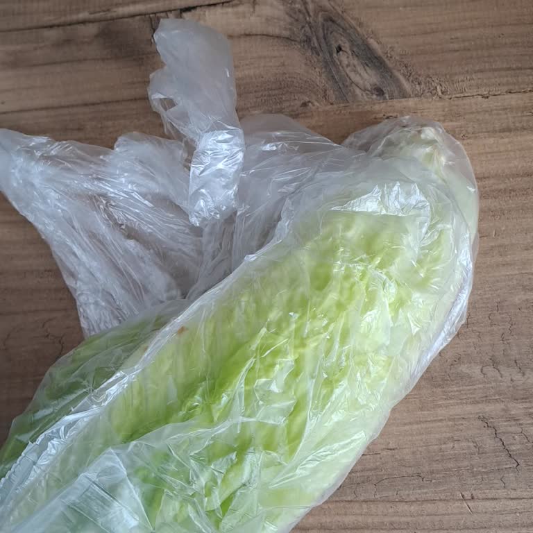 Marul Miktarı Ücretle Uyuşmuyor, İade Talebi