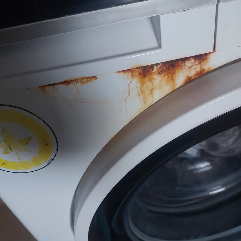 Vestel Çamaşır Makinesi Kendiliğinden Bozuldu, Müşteri Hizmetleri Çözüm Sunmadı