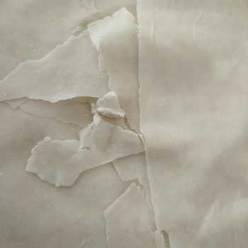 Mersin BİM'de Connex Yufkada Kıl: Hijyen İhlali Ve Müşteri Güveni Sarsıldı