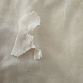 Mersin BİM'de Connex Yufkada Kıl: Hijyen İhlali Ve Müşteri Güveni Sarsıldı