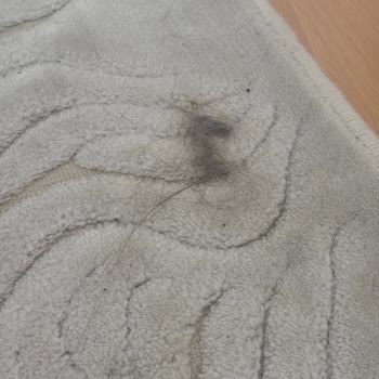 Dreame Süpürge 2 Ayda Bozuldu