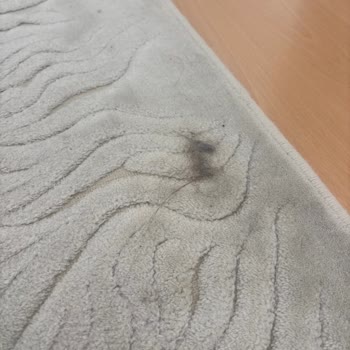 Dreame Süpürge 2 Ayda Bozuldu