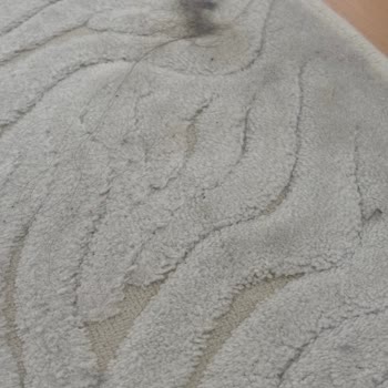 Dreame Süpürge 2 Ayda Bozuldu