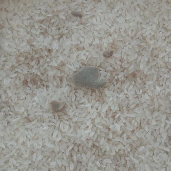 Mutlular Grup Pirincinde Tanımlanamayan Cisimler Ve Geri Dönüşsüz İletişim